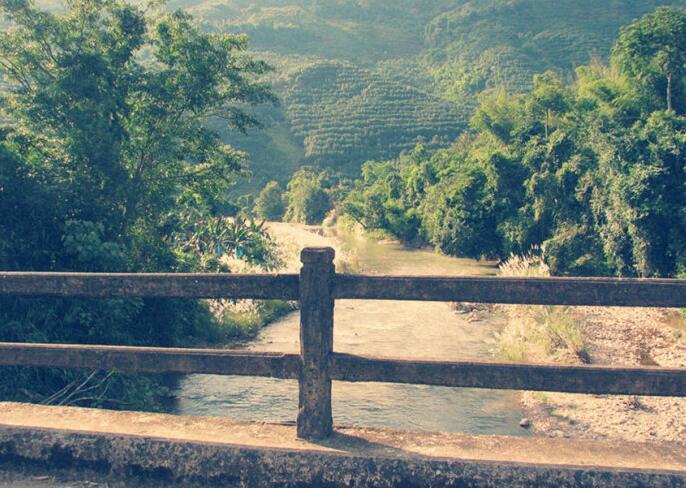 陈智同:我的<a href=https://www.zlhtea.com/puer/yw target=_blank class=infotextkey>易武</a>印象--高山寨与洒代村